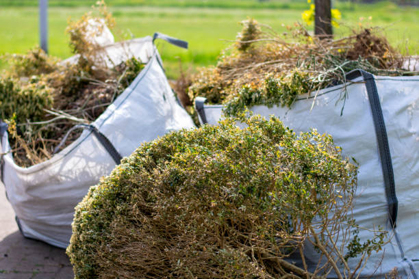 Best Residential Junk Removal  in Elbow Lake, MN